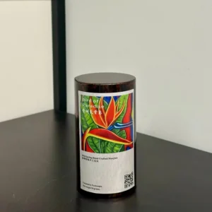 Bird of Paradise